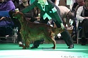 Crufts2011 663
